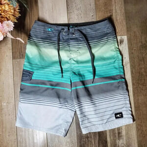 O'Neill Lennox Stripe Size 26 Waist Men's Board Shorts NWOT 100% Polyester